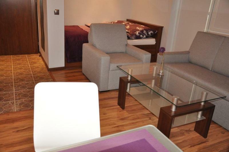 Apartament Bajkowy Busko Zdroj Luaran gambar